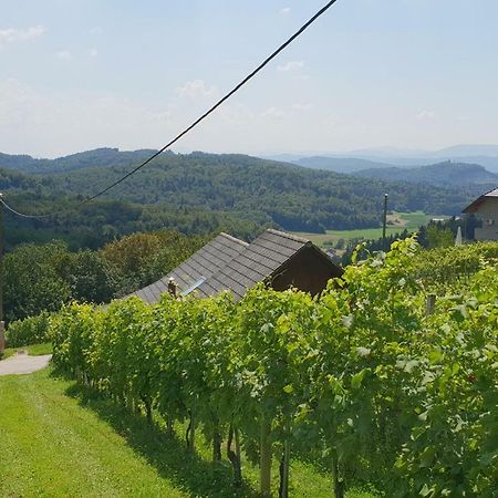 Zidanica Meglic - Vineyard Cottage Meglic Trebnje 外观 照片