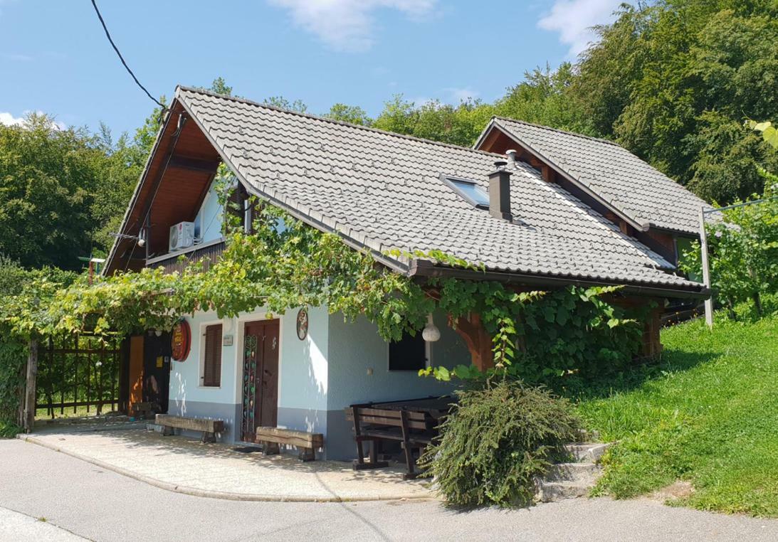 Zidanica Meglic - Vineyard Cottage Meglic Trebnje 外观 照片