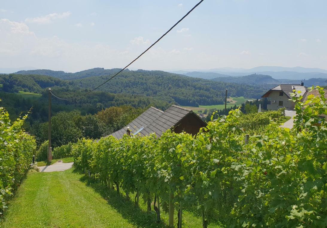 Zidanica Meglic - Vineyard Cottage Meglic Trebnje 外观 照片