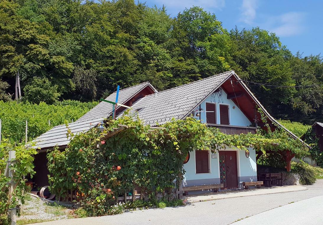 Zidanica Meglic - Vineyard Cottage Meglic Trebnje 外观 照片