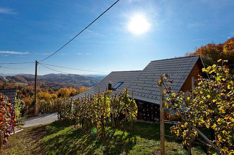 Zidanica Meglic - Vineyard Cottage Meglic Trebnje 外观 照片